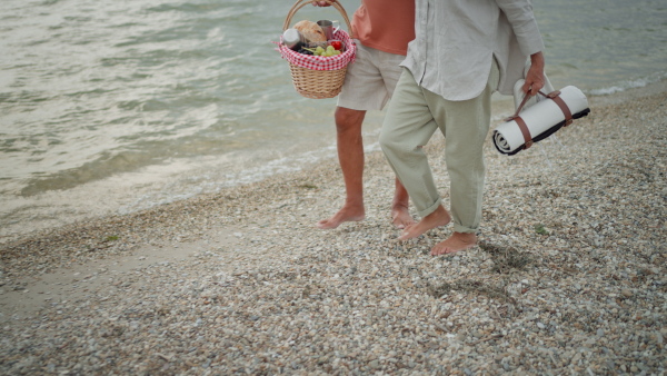 Elderly couple walking on beach, holding hands, smiling, carrying picnic basket.