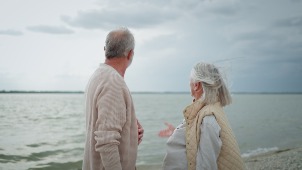 Elderly couple walking on beach, talking.