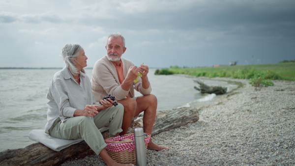 Attractive elderly couple having picnic on beach, sitting on drift wood.