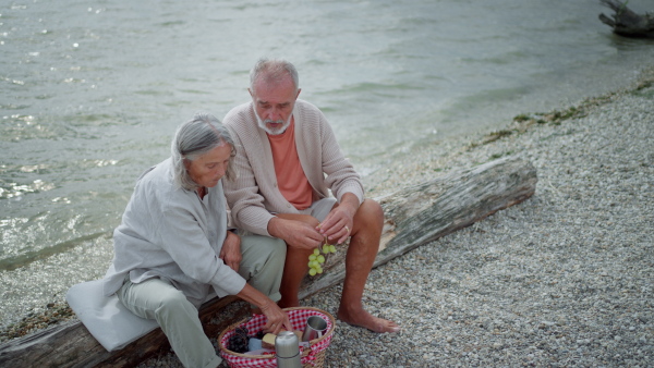 Attractive elderly couple having picnic on beach, sitting on drift wood.