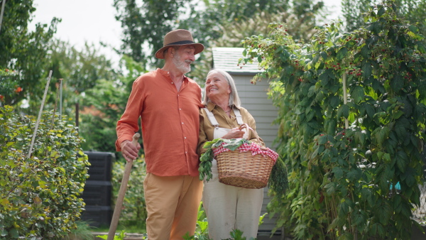 Portrait of happy senior couple in garden, holding vegetable harvest, looking into camera, smiling.