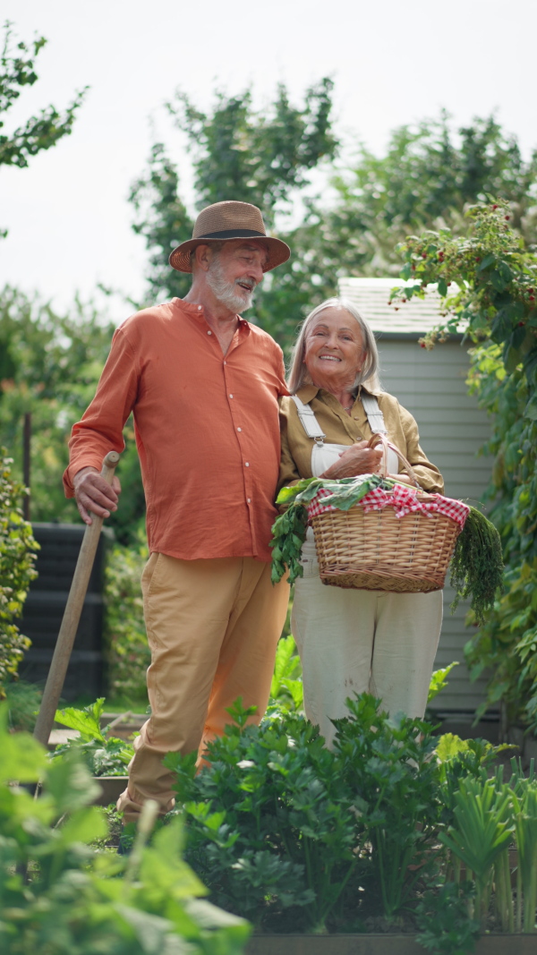 Portrait of happy senior couple in garden, holding vegetable harvest, looking into camera, smiling.