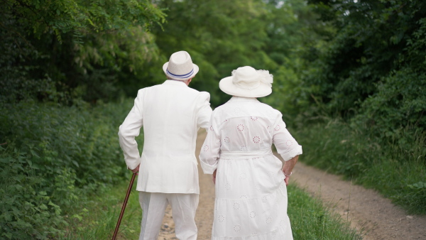 A senior couple having marriage, walking in forest, during summer day, rear view.