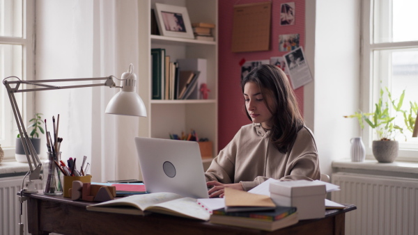 Young teenage girl studying and doing homework in her room.