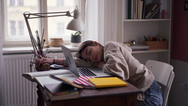 Teenage girl fall asleep during studying in the room.