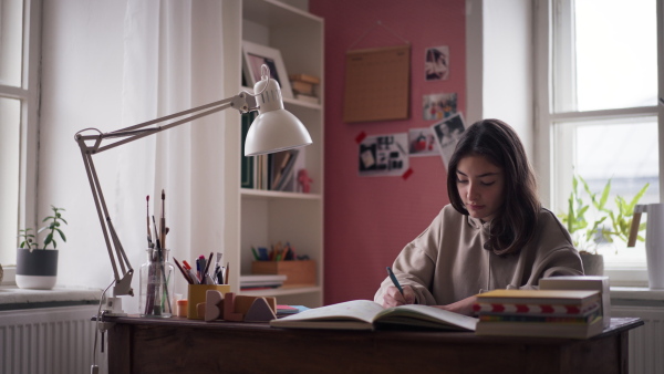 Young teenage girl studying and doing homework in her room.