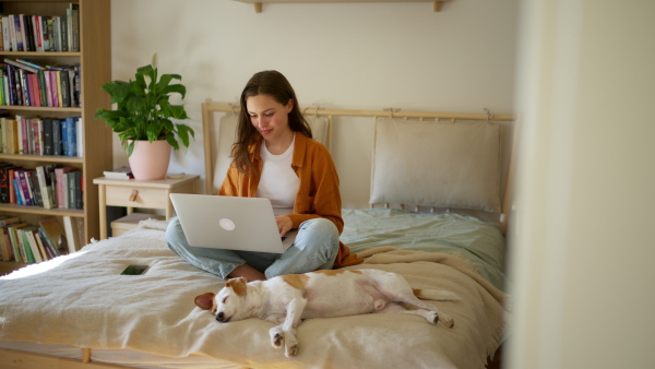 Young student e-learning on laptop at home, cute small dog besides. Businesswoman working remotely, sitting on bed. Home office for single woman living alone.