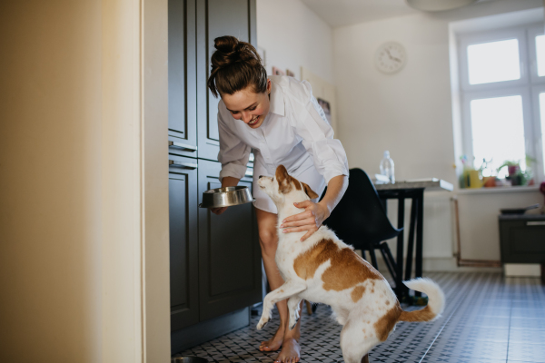 Woman in pajamas feeding dog, smiling. Weekend morning routine at home. Hygge lifestyle for single woman.