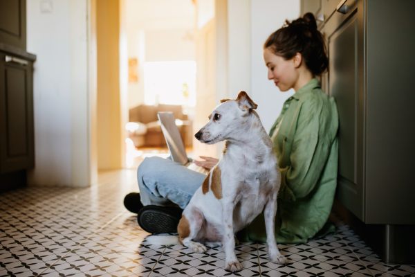 Young student e-learning on laptop at home, cute small dog wants to play. Businesswoman working remotely, sitting at kitchen floor, phone calling. Home office for single woman living alone.