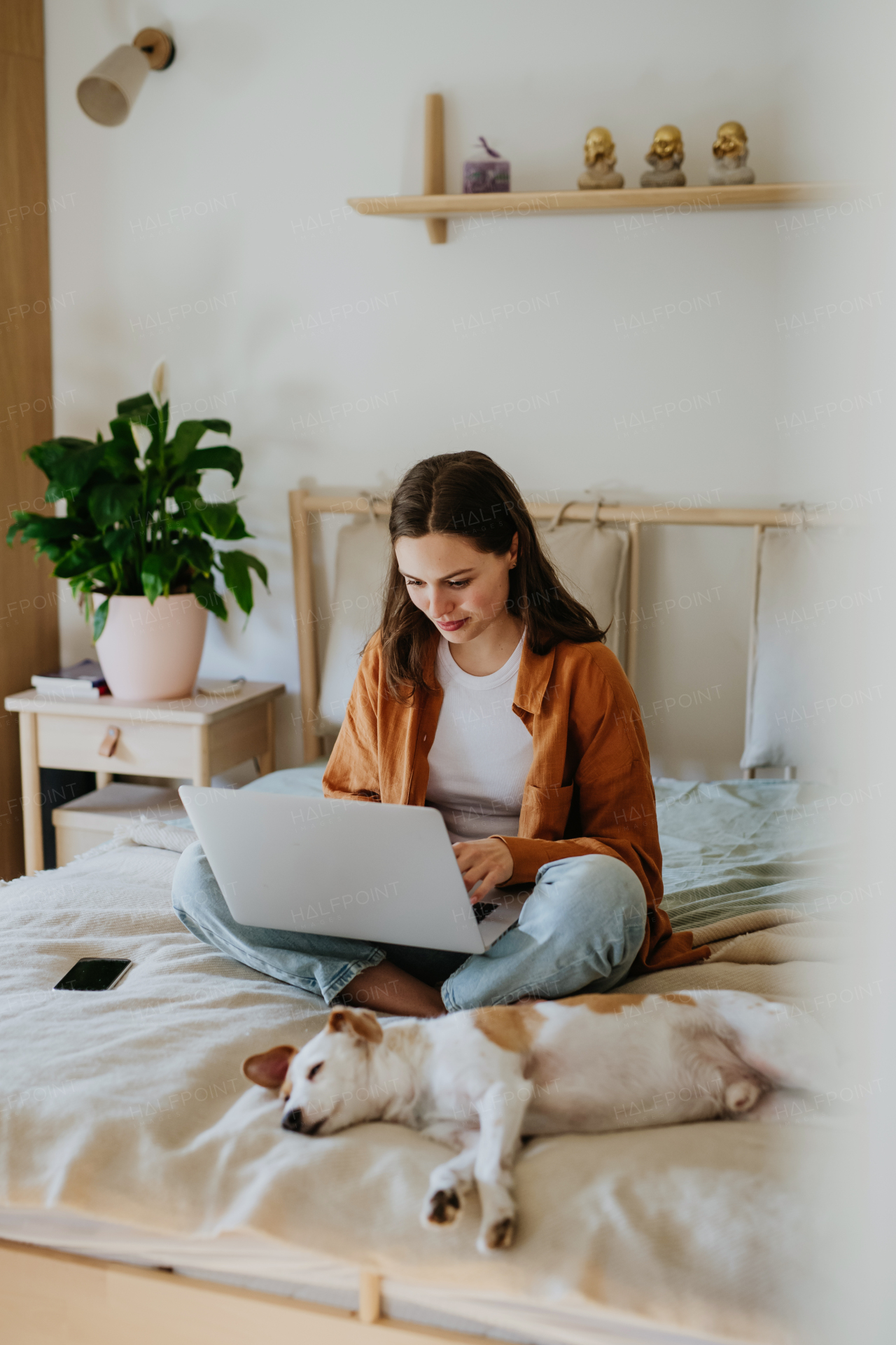 Young student e-learning on laptop at home, cute small dog besides. Businesswoman working remotely, sitting on bed. Home office for single woman living alone.