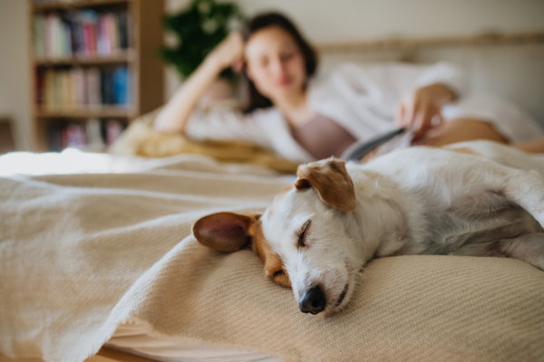 Beautiful woman reading book in bed, dog sleeping by her. Cozy feeling. Freedom, weekend activity for single woman.