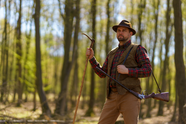 A hunter man with rifle gun on hunt in forest.