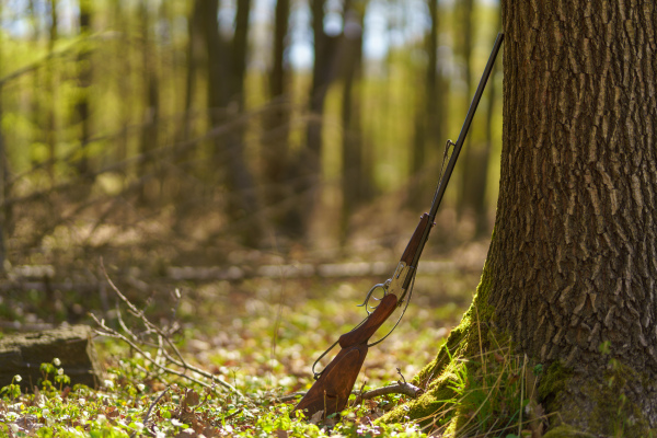 A hunter's rifle gun near tree in forest.