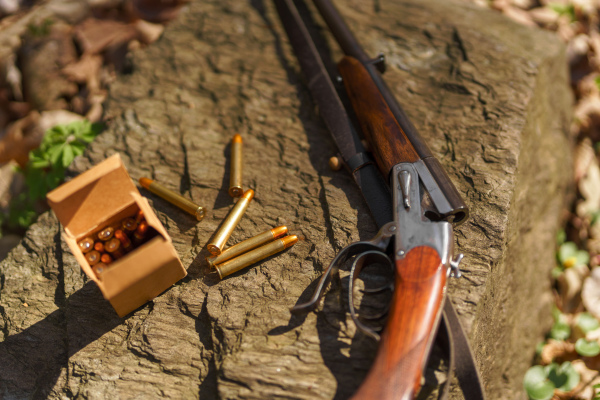 A hunter's rifle gun near tree stump in forest.