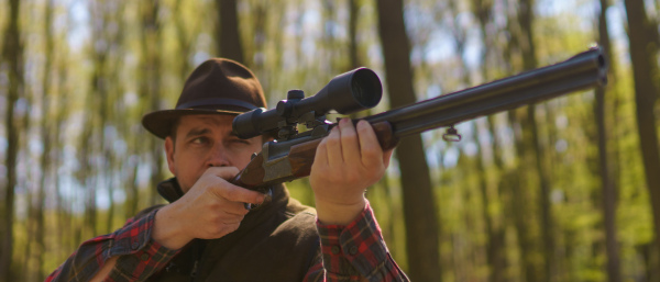 A hunter man aiming with rifle gun on prey in forest.