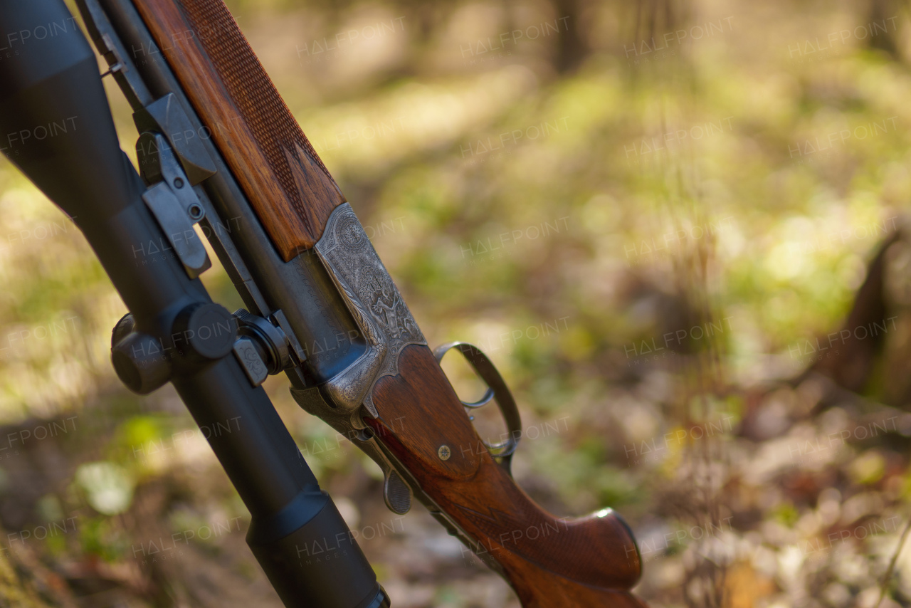 A hunter's rifle gun near tree in forest.