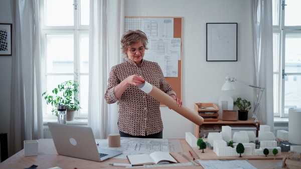 A mature woman architect pulling rolled-up blueprints out of tube in office.