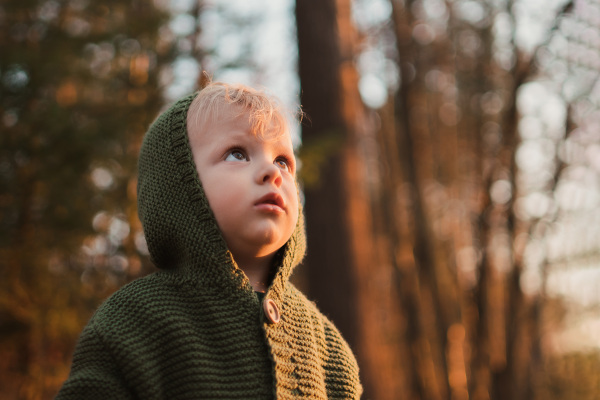 A little curious boy on walk in forest, looking up.