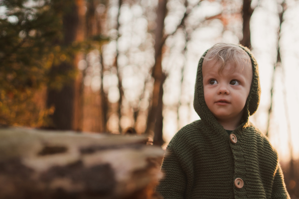 A little curious boy on walk in nature