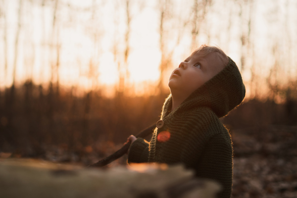 A little curious boy on walk in forest, looking up.