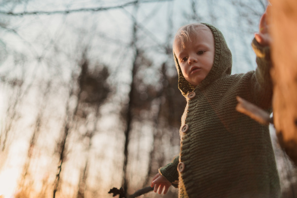 A little curious boy in knitted sweater on walk in autumn nature, looking at camera. Low angle view.