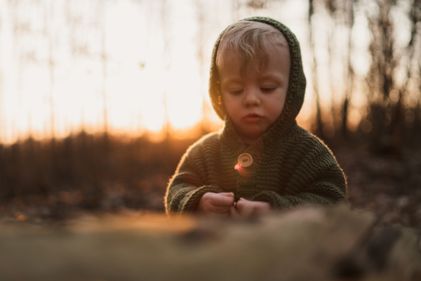 A little curious boy on walk in nature