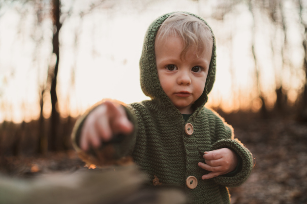 An autumn portrait of happy little boy in knitted sweater sitting and playing in dry grass in nature.