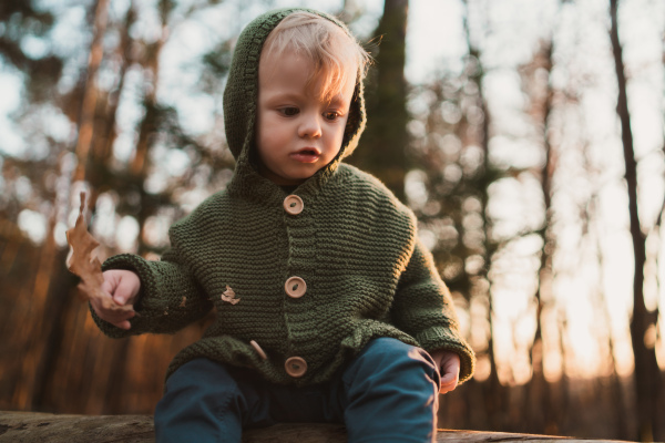 A low angle view of little curious boy on walk in nature