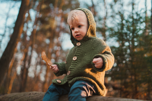 A little curious boy on walk in nature, sitting in tree stump.