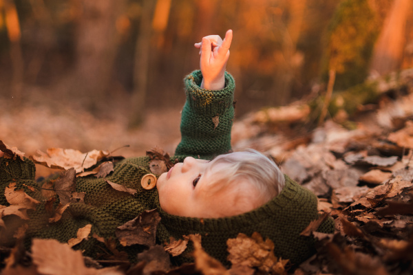 A little boy lying in dry leaves in nature, autumn concept