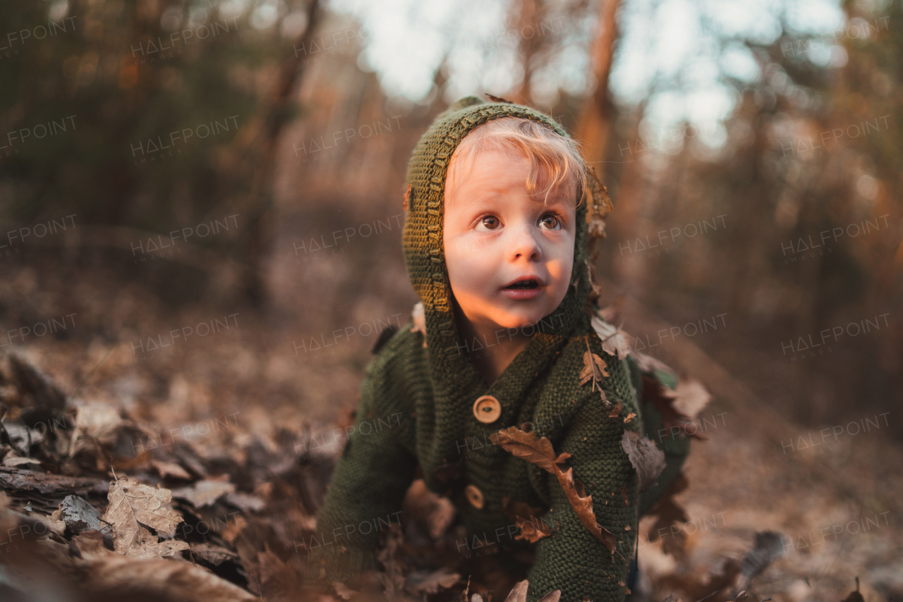 A little curious boy on walk in nature