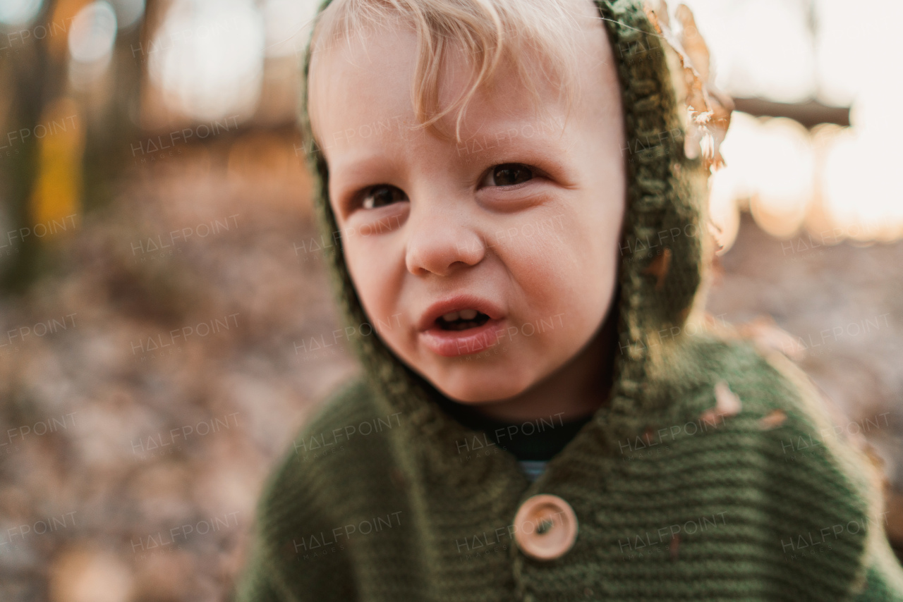 A close-up of cute little boy with grimace in knitted hoodie in forest, autumn concept.