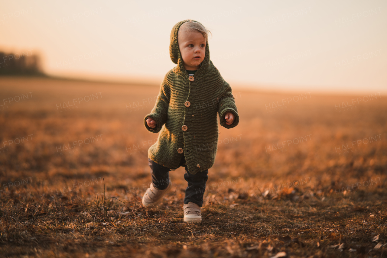 A little curious boy in knitted sweater on walk in autumn nature.