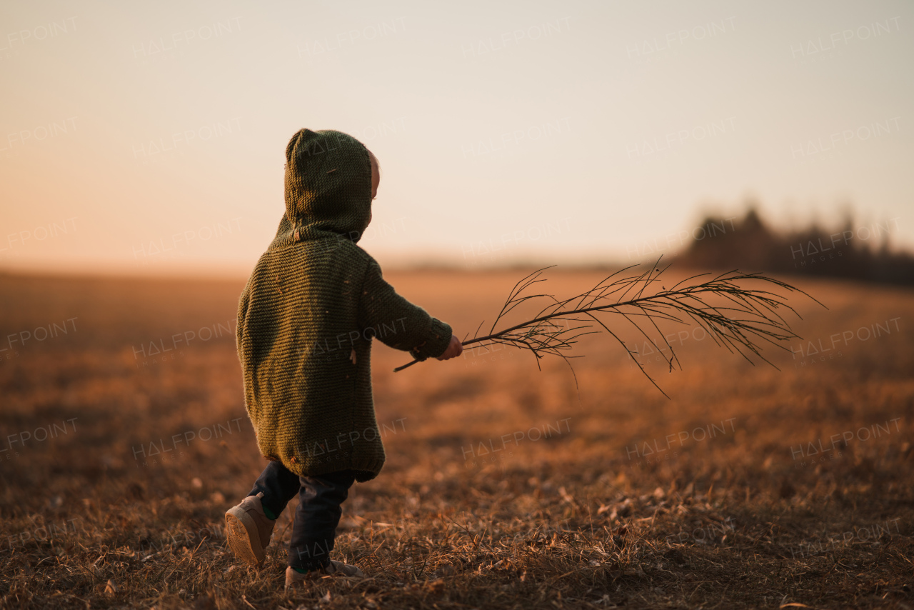 A rear view of little boy in knitted sweater on walk in autumn nature.