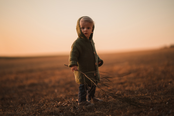 A little curious boy on walk in nature, looking at camera.