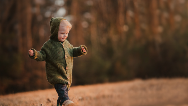 A little curious boy in knitted sweater on walk in autumn nature, looking at camera.