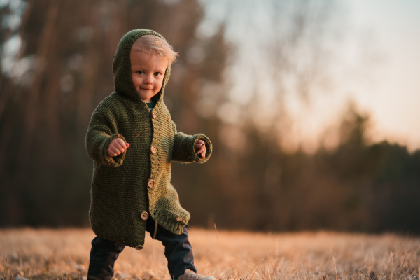 A little curious boy in knitted sweater on walk in autumn nature, looking at camera.