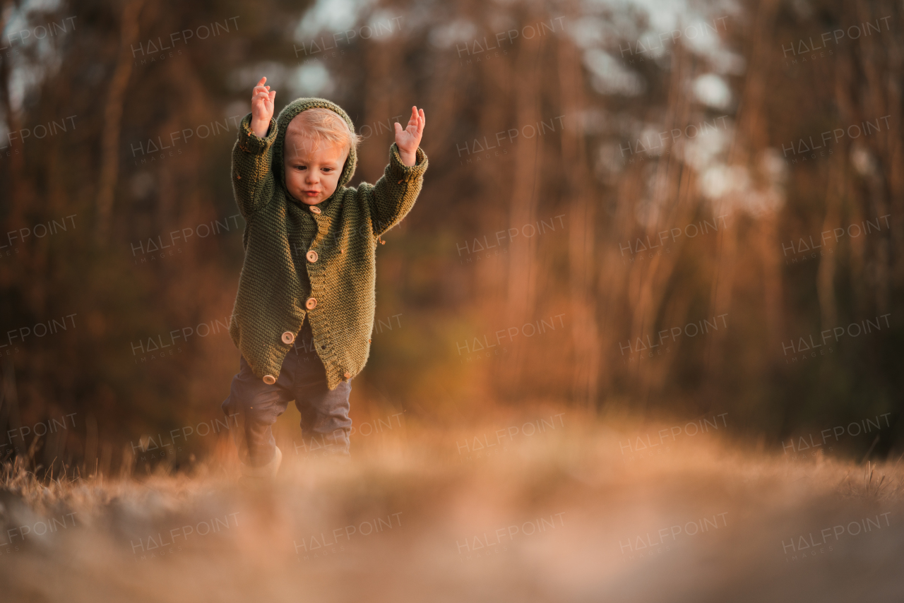 A happy little boy in knitted hoodie having fun on walk in autumn nature.