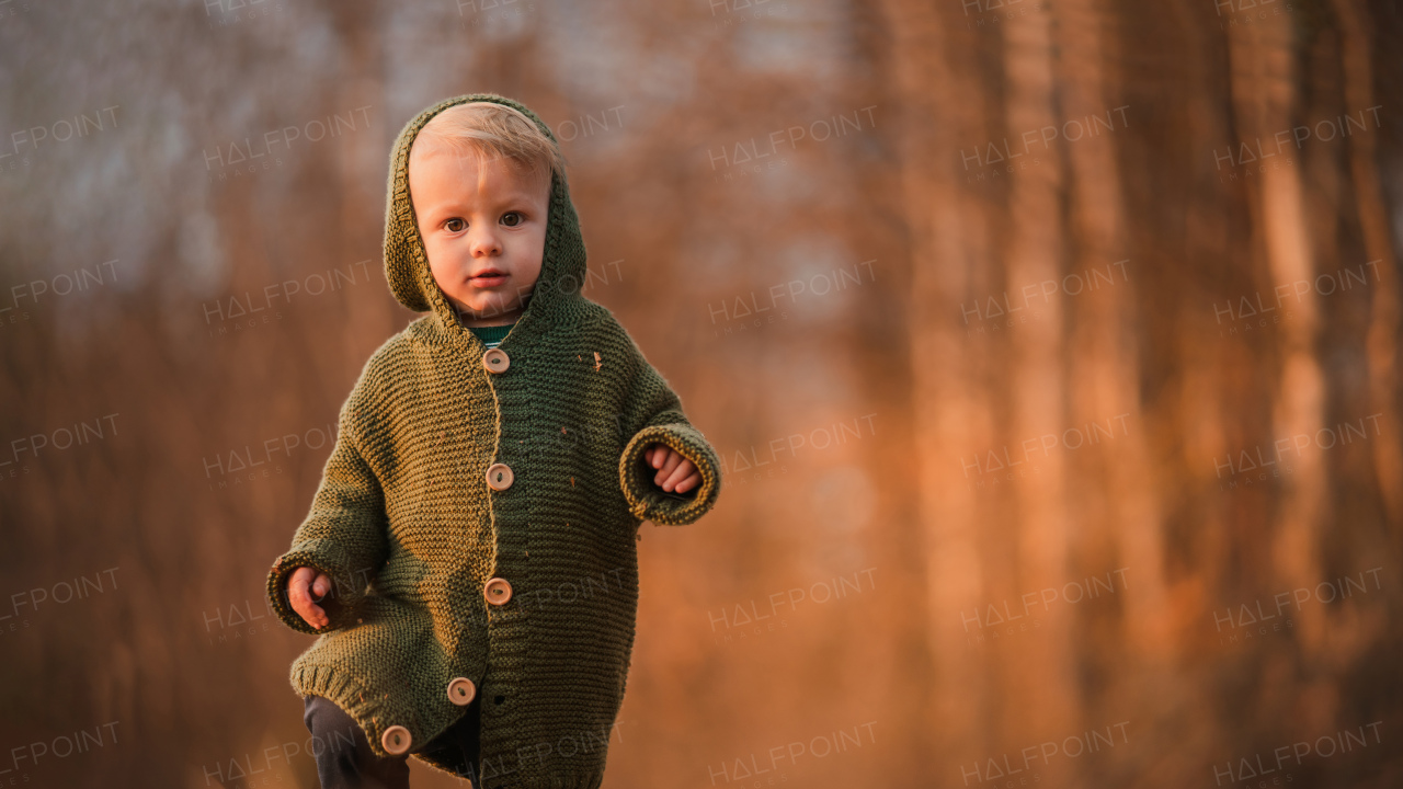 A little curious boy in knitted sweater on walk in autumn nature, looking at camera.