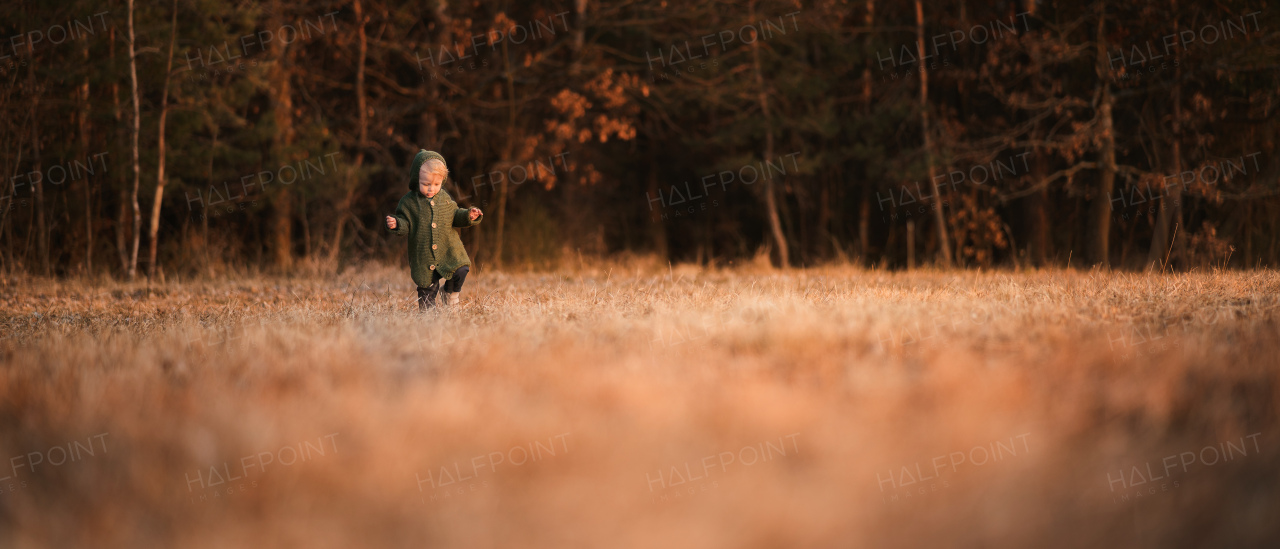 A cute little boy in knitted sweater on walk in autumn nature, wide, copy space.