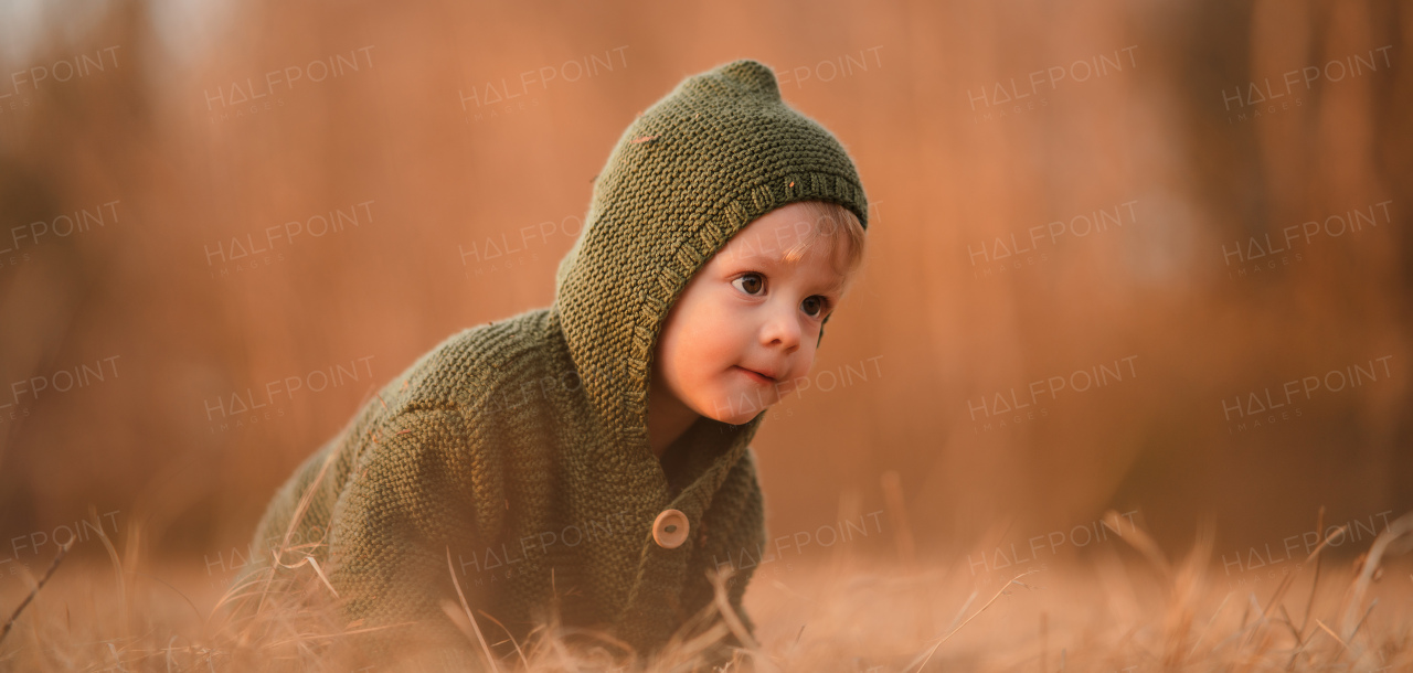 An autumn portrait of happy little boy in knitted sweater sitting and playing in dry grass in nature.