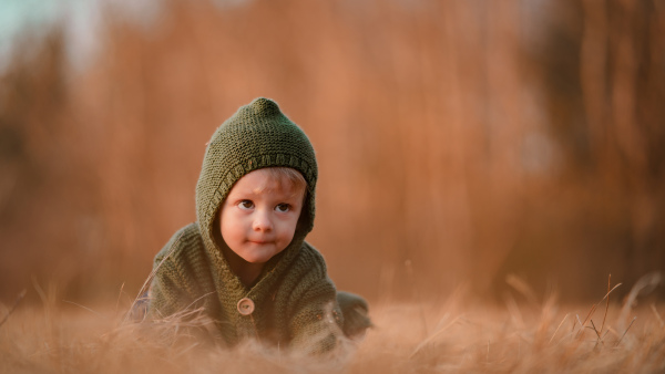 An autumn portrait of happy little boy in knitted sweater sitting and playing in dry grass in nature.