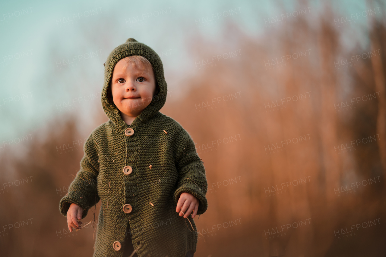 A little curious boy on walk in nature, looking at camera.