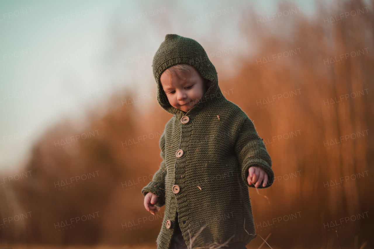 A little curious boy in knitted sweater on walk in autumn nature, looking at camera.