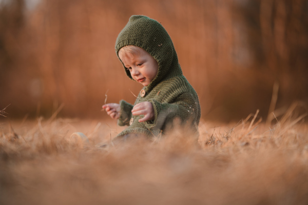 An autumn portrait of happy little boy in knitted sweater sitting and playing in dry grass in nature.