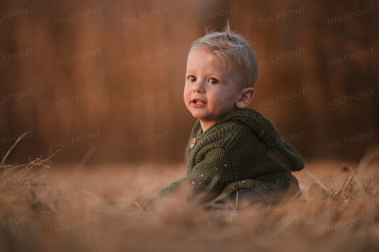 An autumn portrait of happy little boy in knitted sweater sitting and playing in dry grass in nature.