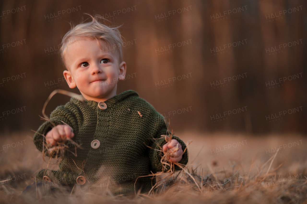 An autumn portrait of happy little boy in knitted sweater sitting and playing in dry grass in nature.