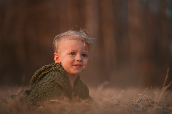 An autumn portrait of happy little boy in knitted sweater sitting and playing in dry grass in nature.