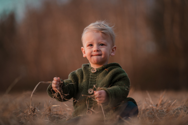 An autumn portrait of happy little boy in knitted sweater sitting and playing in dry grass in nature.