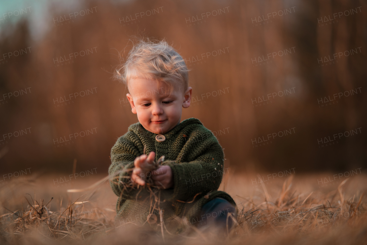 An autumn portrait of happy little boy in knitted sweater sitting and playing in dry grass in nature.